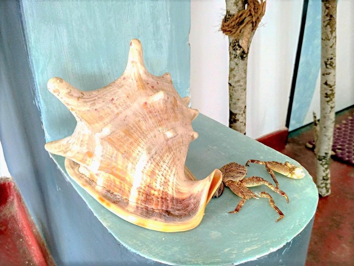 Banana Garden Hotel Banduramulla Bagian luar foto
